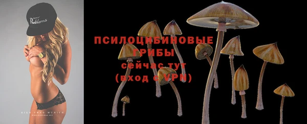 apvp Белокуриха