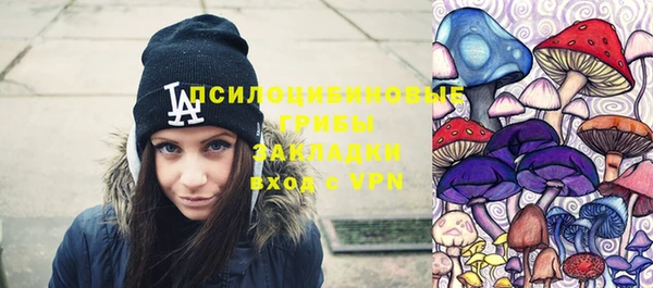 apvp Белокуриха
