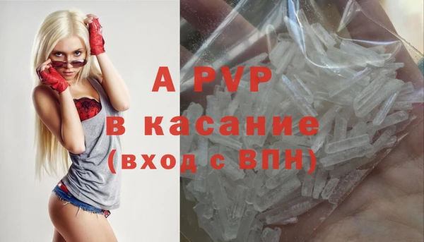 PSILOCYBIN Беломорск