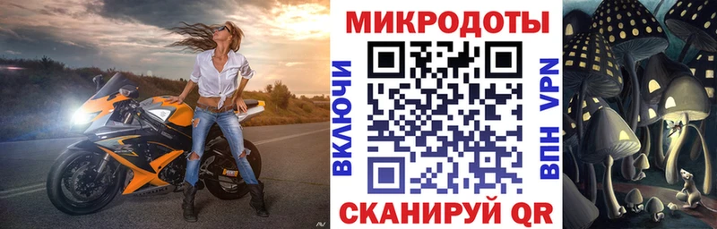 Купить где  Прохладный  Галлюциногенные грибы GOLDEN TEACHER 